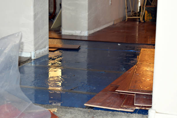 Professional Sewage Cleanup technician working in Burlington, MA
