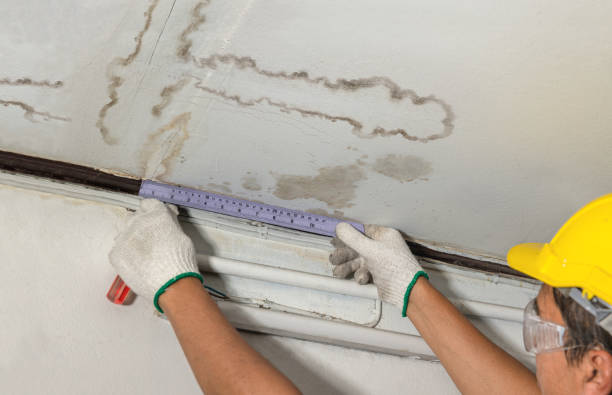 Reliable Sewage Cleanup contractor in Burlington, MA by Water Damage Irwin